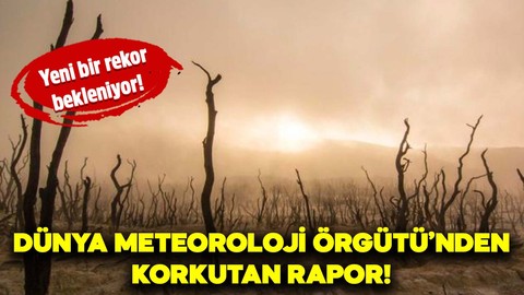Dünya Meteoroloji Örgütü'nden korkutan açıklama: Yeni bir rekor bekleniyor