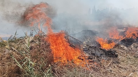 Denizli'de çöplük alan bir anda alevler içinde kaldı! İtfaiye ekipleri acilen olay yerine sevk edildi