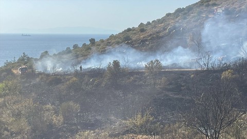 İzmir'deki orman yangınının sebebi belli oldu