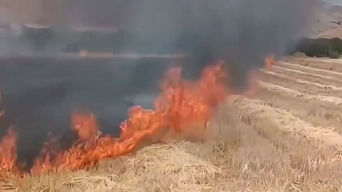 Elazığ'da köyde korkunç yangın! Az kalsın hasat edilmemiş ekinlere sıçrayacaktı