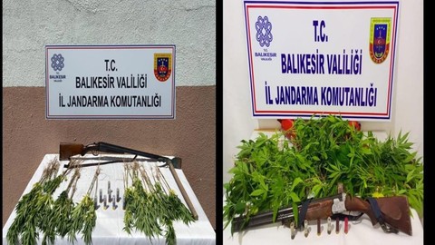 Balıkesir'de kenevir operasyonu: 3 kişi gözaltına alındı!