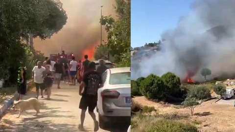 İzmir Foça'da korkutan orman yangını! Havadan ve karadan müdahale ediliyor!
