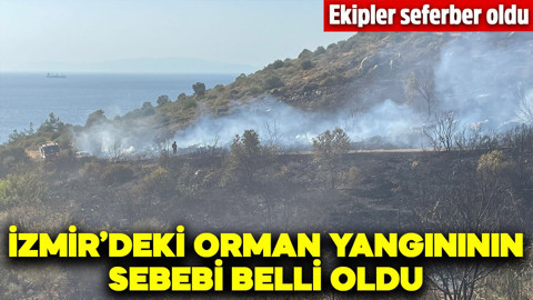 İzmir'deki orman yangınının sebebi belli oldu
