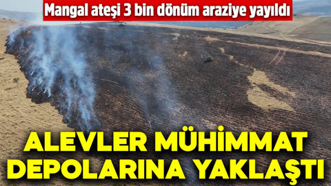 Kırıkkale'de korkutan yangın! Alevler mühimmat depolarına yaklaştı: Ekipler seferber oldu