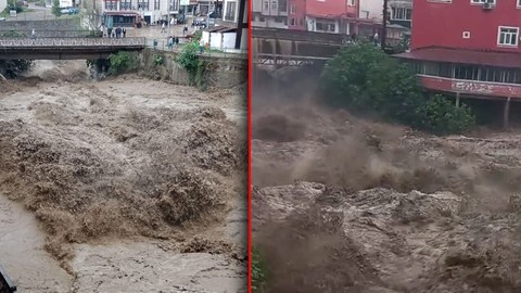 Ordu ve Muş'ta sel felaketi: 2 kişi hayatını kaybetti