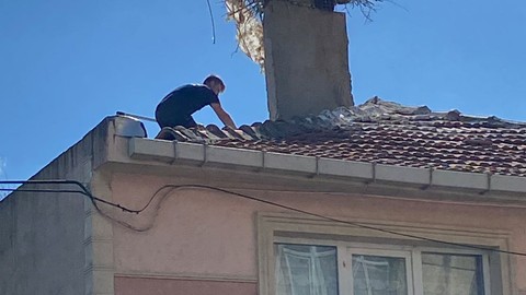 Tekirdağ'da iki katlı bir evin çatısında yaralı halde bulundu. İtfaiye ekiplerinin kurtardığı canlı, acil veterinere götürüldü