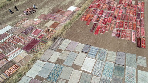 İlk düğüm tezgahta, son dokunuş tarlada: Rengarenk halı tarlası görenleri hayran bırakıyor