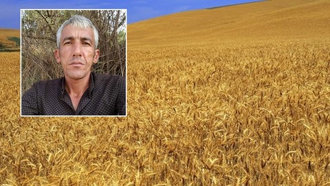 Hafif ticari araç buğday tarlasına devrildi: 1 ölü 4 yaralı!