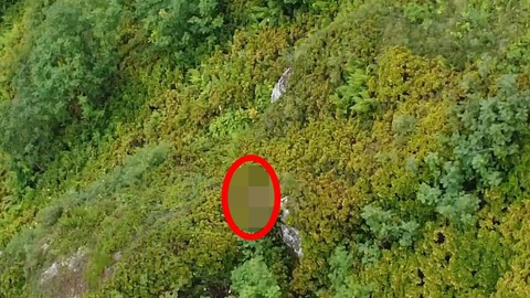 Rize'de bu kez ne köyde ne şehir merkezinde, doğanın tam kalbinde görüntülendi. Yeşilliklerin arasında dron kamerasına yakalandı