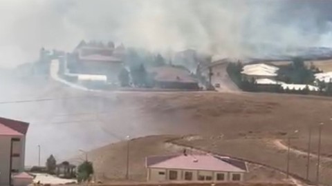 Siirt'te anız yangını! Geniş alana yayıldı! Müdahale ediliyor