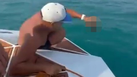 Antalya'da teknesiyle açılan vatandaş suyu yüzeyinde onu gördü. Nesli tükenmekte olan yavruyu kurtarmak için seferber oldu