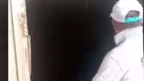 Van'da o bölgede büyük istilaya geçen canlılarla mücadele başladı
