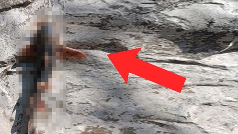 Hakkari’de Zap Suyu'na olta atan amatör balıkçının ağına takıldı. Ağına gelen hayvanı görünce baktı kaldı. İlk kez görüyordu