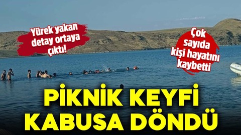 Piknik keyfi kabusa döndü! Çok sayıda kişi hayatını kaybetti