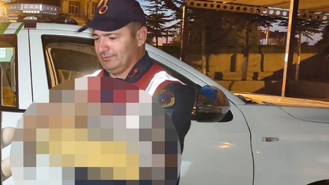 Yozgat'ta jandarma ekipleri tarafından yaralı halde buldu. Tedavisi için Doğa Koruma ve Milli Parklar Müdürlüğü ekiplerine teslim edildi