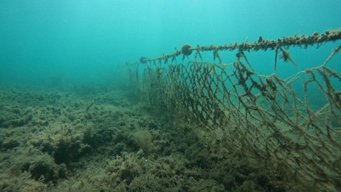 Karadeniz sularındaki 'hayalet ağlar' temizlenecek