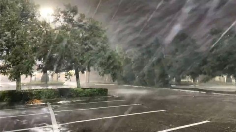 Florida'da kasırga! Olağanüstü hal ilan edildi