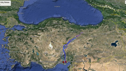 Türkiye'de havaların soğumasıyla birlikte göç yolculuğu başladı. Son mola noktaları Adana oldu