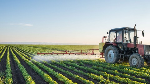 İnsanlıkla birlikte başladığı düşünülen tarım, 66 milyon yıl önce o canlı tarafından başladı