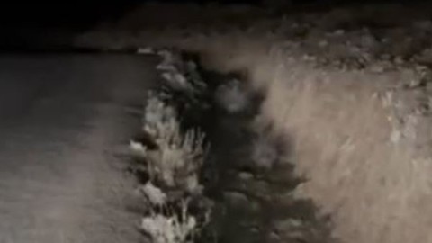 Normalde Afrika'da yaşadığı bilinen yaratık, Mardin'de ortaya çıktı! Hem de 2 tane peş peşe