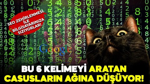 Arama motorlarında bu altı kelimeyi aratan virüs kapıyor: Bilgisayar korsanlarının yeni siber tuzağı!