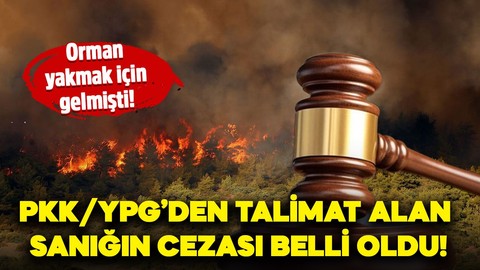 PKK/YPG'den orman yakma talimatı aldığı öne sürülen sanığa verilen ceza belli oldu!