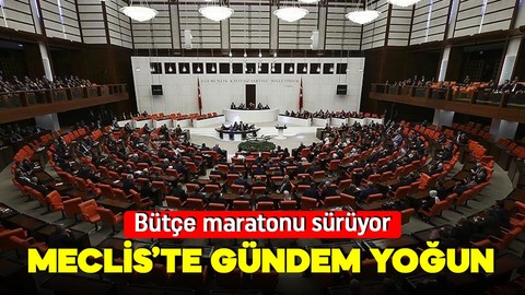 Meclis'te yeni haftada gündem yoğun: Bütçe maratonu sürüyor