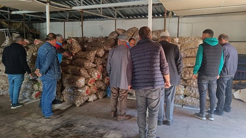 193 ton patates ücretsiz dağıtıldı