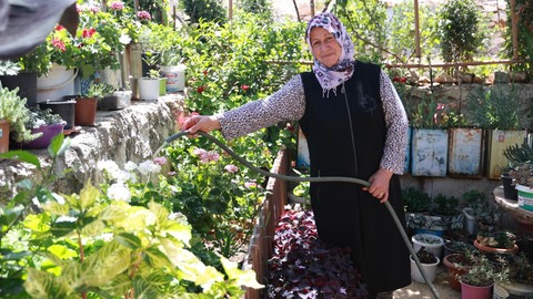 Hatay'da 6 yıl önce çiçeklere merak sardı. Şimdi evinin bahçesinde 500 türe ev sahipliği yapıyor