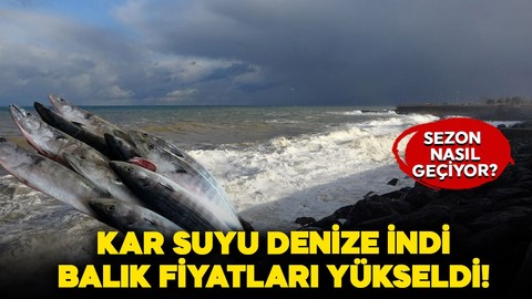 Kar suyu denize indi, balık fiyatları arttı: Av sezonu nasıl geçiyor?