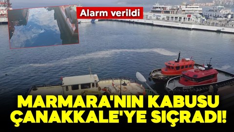 Marmara'nın kabusu Çanakkale'ye sıçradı! Alarm verildi