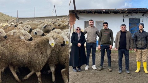 Yozgat'ta 30 seneden beri koyun besleyen aile, Türkiye için tehlikeyi duyurdu. Yakında etkisi hepimize olacak