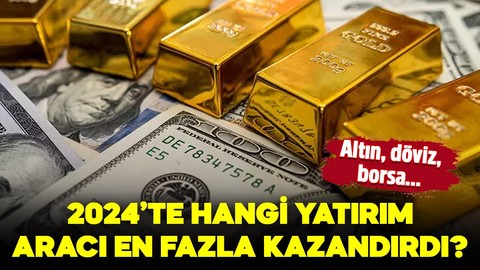 2024 yılında en fazla hangi yatırım aracı kazandırdı?