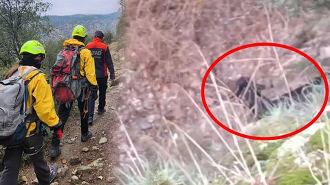 Denizli'de keçi 6 saatten boyunca kayalıklarda mahsur kaldı... Normalde zıplaması gerekiyordu. Resmi ekipler yanına gidince korkunç detayı gördü