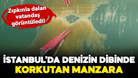 İstanbul'da denizin dibinde korkutan manzara: Zıpkınla dalan vatandaş görüntüledi!