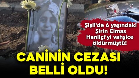 Şişli'de 6 yaşındaki Şirin Elmas Hanilçi'yi vahşice öldürmüştü! Caninin cezası belli oldu