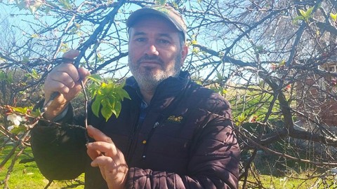 Manisa'dan Türkiye için kara haber resmen şimdi geldi. Önce erik, sonra kayısı, sonra da badem ağacı. 3'lü felaketi bir çiftçi gördü