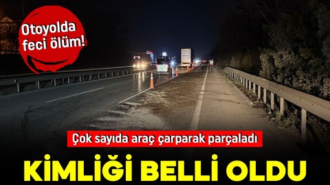 Otoyolda feci ölüm! Çok sayıda araç çarparak parçaladı: Kimliği belli oldu