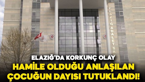 12 yaşındaki çocuğun hamile olduğu ortaya çıkmıştı: Cinsel istismarda bulunduğu iddia edilen dayı tutuklandı!