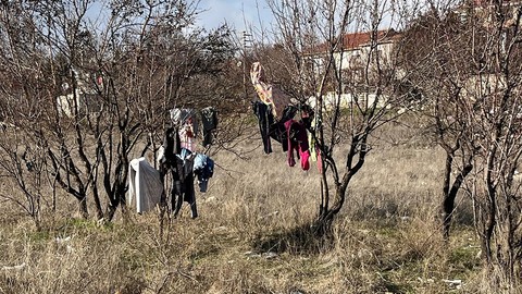 Eskişehir'de Türkiye'ye kış ortasında aslında felaket haber. Ağacın üzerine astı. 1 tane de değildi