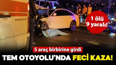 İstanbul TEM'de feci kaza! 5 araç birbirine girdi: 1 kişi hayatını kaybetti, 9 kişi yaralandı