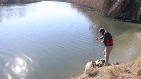 Adana'da Ceyhan Nehri'nde yüzlercesi kıyıya vurmuştu. İnceleme başlatıldı