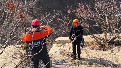 Siirt'te hayvan sahibi 3 tane keçisini gördüğü yer ile dehşete düştü. Acilen resmi ekiplere durumu bildirdi