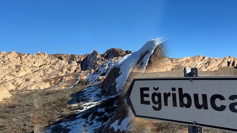 Sivas'ta nadir görülen o hayvan sürüyle şaşırtan bir yerde ortaya çıktı. Sivas'tan başka 1 tane daha yerde yok