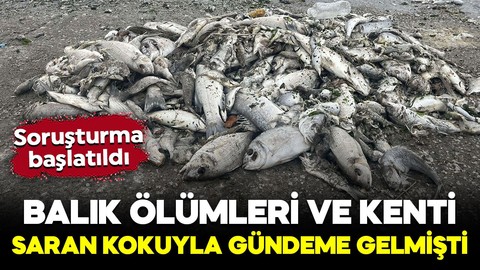 Balık ölümleri ve kenti saran kokuyla gündeme gelmişti! Soruşturma başlatıldı