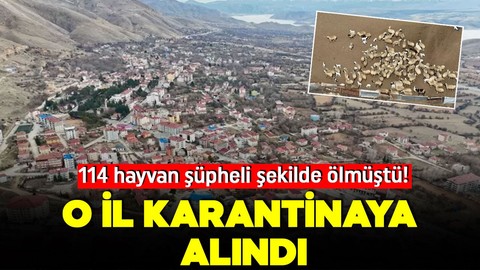 114 hayvan şüpheli şekilde ölmüştü! O il karantinaya alındı