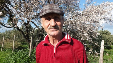 Balıkesir'de badem ağaçlarındaki manzara, hem çiftçiyi hem uzmanları endişelendirdi. Bu yıl çok erken başladı, bir anda hepsi yok olabilir