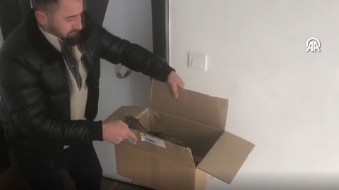 Erzincan'da yol kenarında donmak üzereyken buldu. Yırtıcı hayvanı, evine götürüp etle besledi