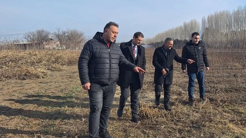 Erzincan'da 20 bin tanesini yetiştirdiler. Yakında çiftçilerle buluşturacaklar