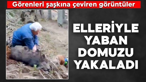 Görenleri şaşkına çeviren görüntüler: Elleriyle yaban domuzu yakaladı